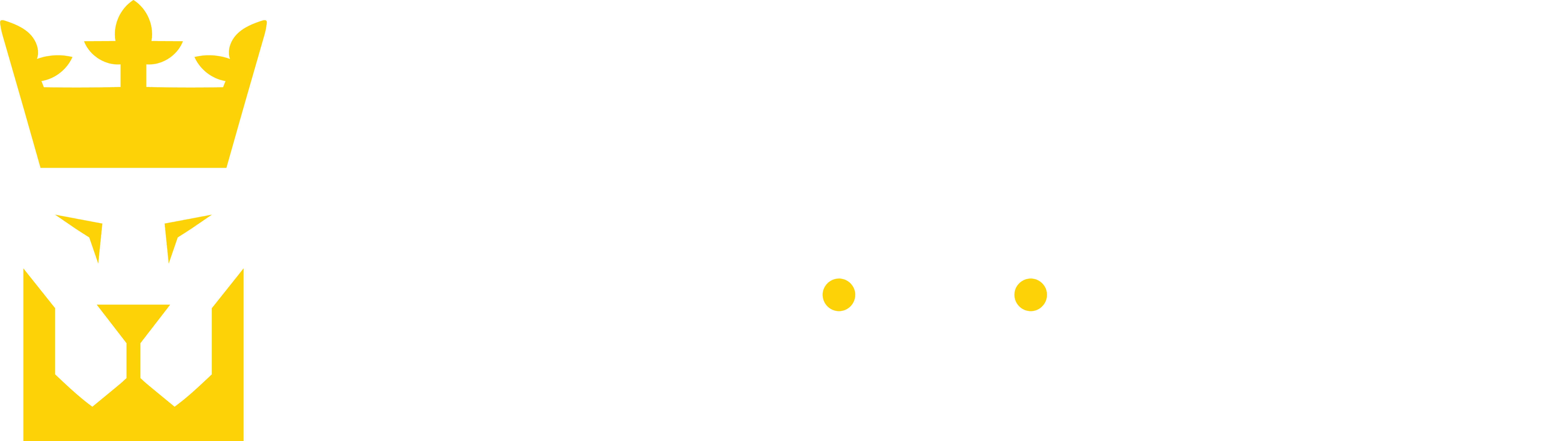 custom interior design and carpets